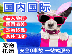 鄂州花湖机场邮寄国际宠物托运 【国